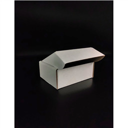 До 1000 шт. Самосборная коробка 250х120х80 мм (кратно 25 шт)